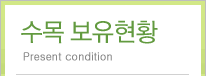 수목 보유현황